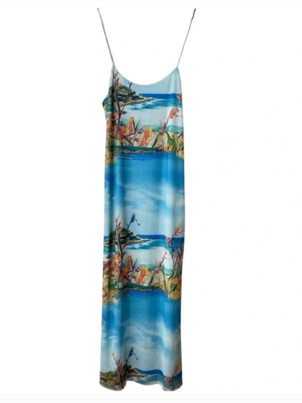 NWT ZARA | Tropical Print Tulle Maxi Dress, size S - Picture 2 of 5